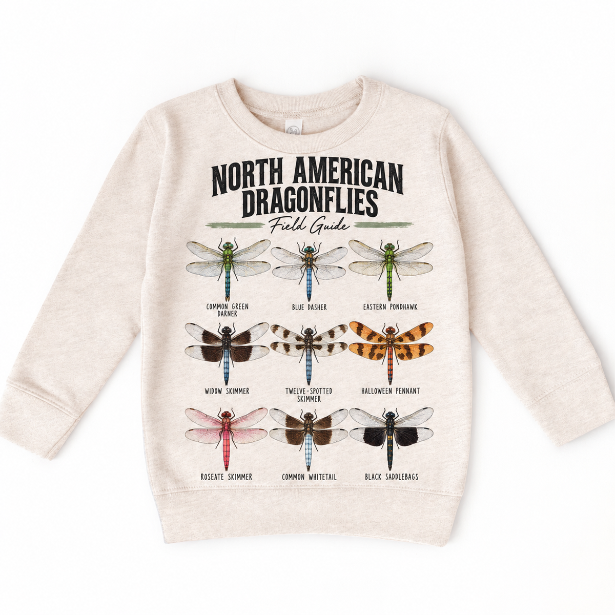 Dragonfly field guide graphic on Natural Heather Sweatshirt