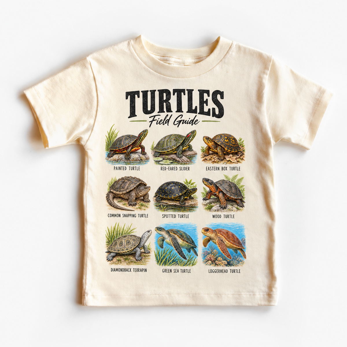 Turtle field guide graphic on Natural Short Sleeve Tee