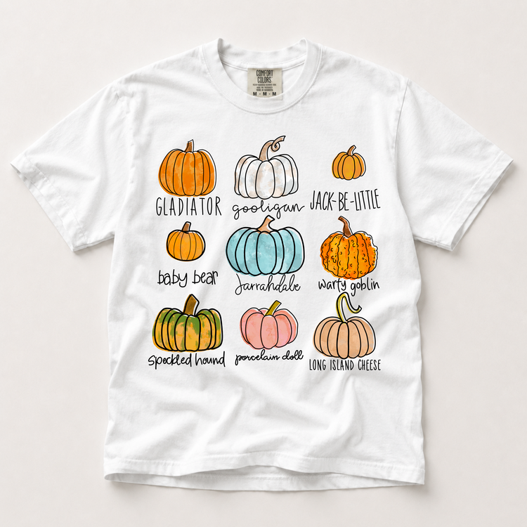 Pumpkin varieties fall graphic shirt in white