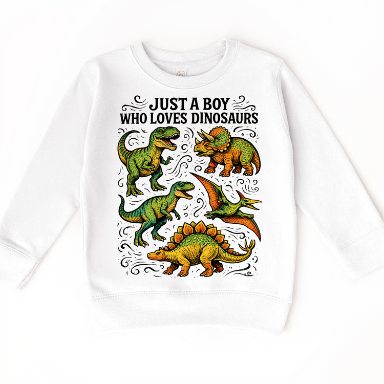Just A Boy Who Loves Dinosaurs Shirt - Dinosaur Tee