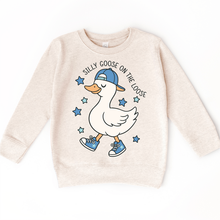 Silly Goose On The Loose T-Shirt - Boys Silly Goose Tee - Madi Moosh Boutique