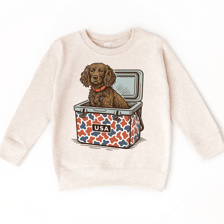 Kids Patriotic Dog Graphic Tee – 4th Of July USA Cooler Puppy Shirt, Summer Kids Tee