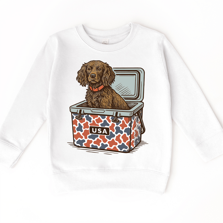 Kids Patriotic Dog Graphic Tee – 4th Of July USA Cooler Puppy Shirt, Summer Kids Tee