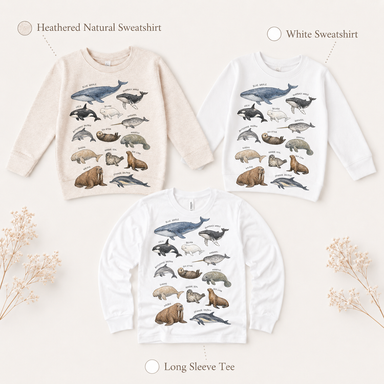 Marine Animals Graphic Tee, Ocean Life Educational Kids Shirt, Whale Dolphin Sea Otter Nature Tee