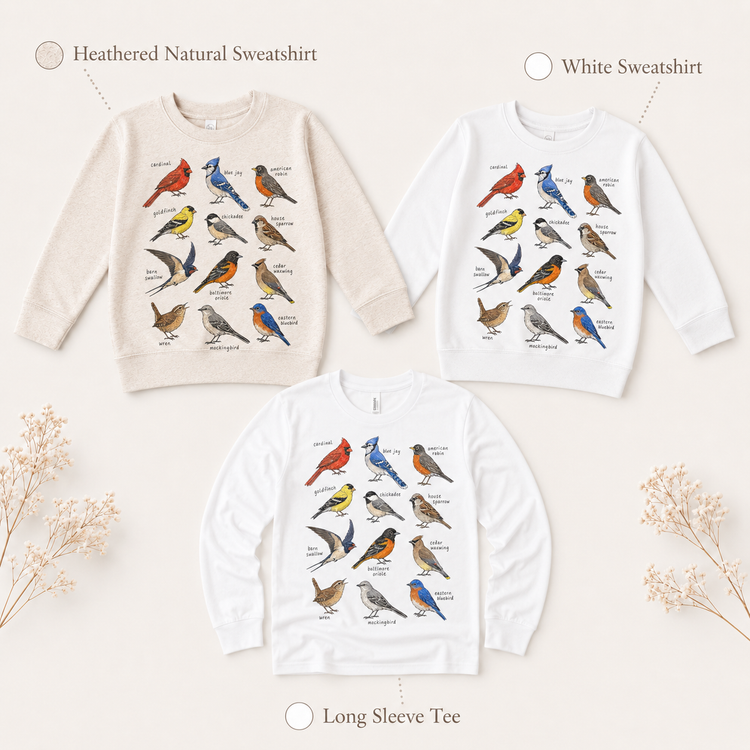 Backyard Birds Educational Shirt, Bird Species Chart Kids Tee, Cardinal Blue Jay Robin Nature Shirt