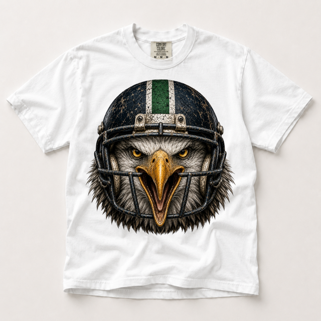 Eagles Football Mascot Shirt, Fierce Game Day Graphic Tee, Comfort Colors Sports Shirt, High School Football Fan Gift (Copy) (Copy)