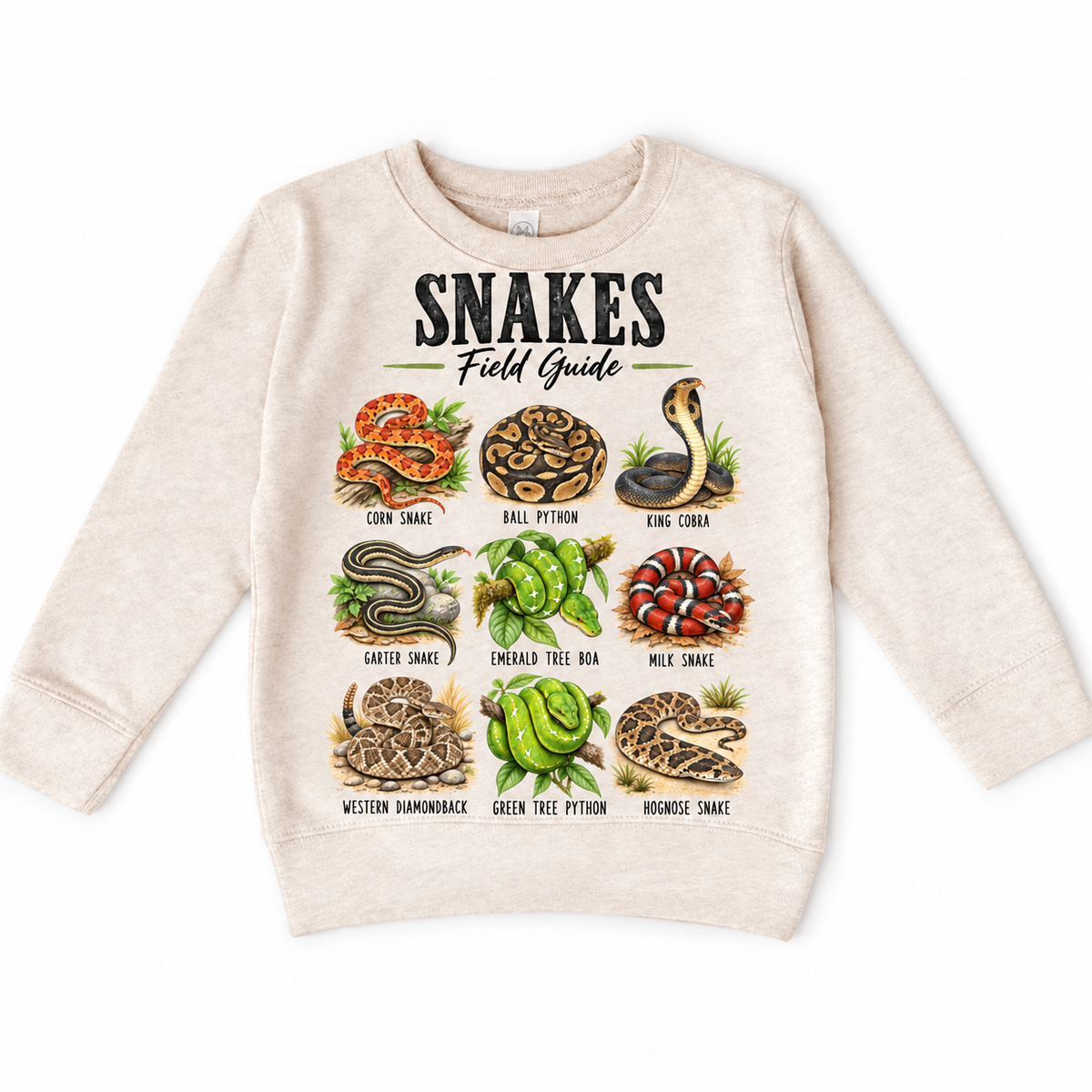Snake field guide graphic on a natural heather sweatshirt