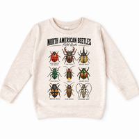Beetle field guide graphic on a natural heather sweatshirt