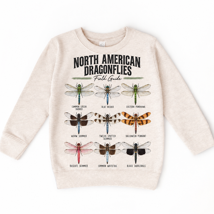 Dragonfly field guide graphic on Natural Heather Sweatshirt