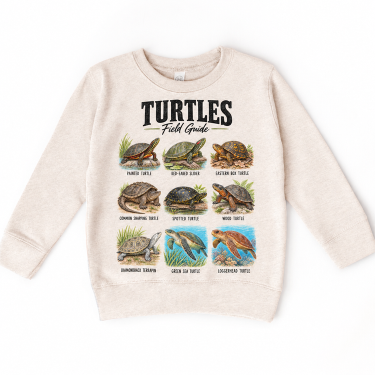 Turtle field guide graphic on Natural Heather Sweatshirt