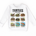 Turtle field guide graphic on White Sweatshirt