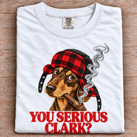 White Comfort Colors T-shirt with You Serious Clark dog graphic and red buffalo plaid hat